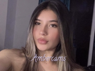 Ambercams