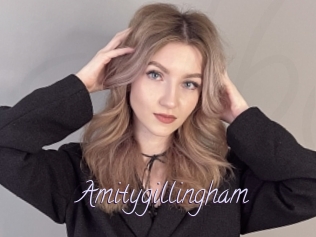 Amitygillingham
