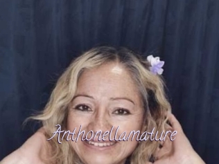 Anthonellamature