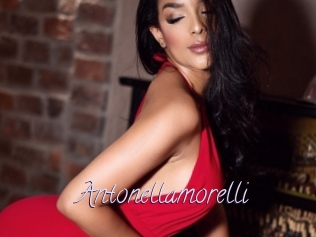 Antonellamorelli