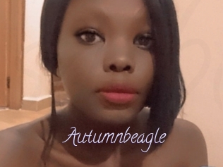 Autumnbeagle