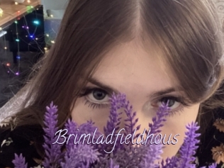 Brimladfieldhous