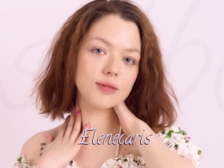 Elenecaris