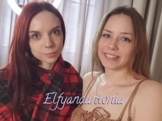 Elfyandantonia