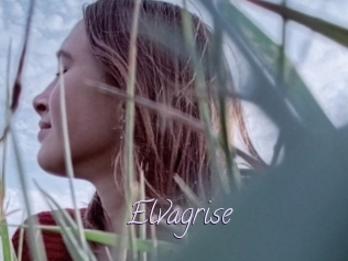 Elvagrise