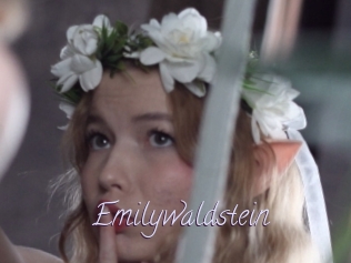 Emilywaldstein