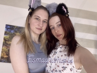 Esmaandmatia