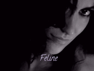 Feline