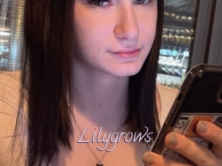 Lilygrows