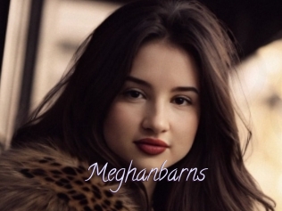 Meghanbarns