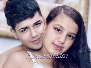 Rosaandtadeo