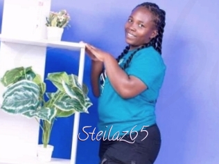 Steilaz65