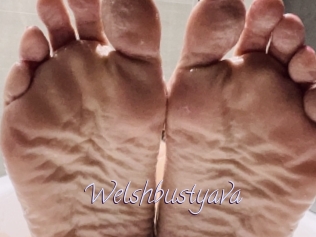 Welshbustyava